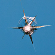 Windscreen star burst break